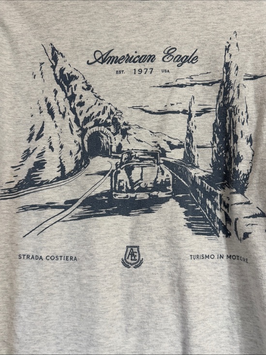 American Eagle Outfitters Tops - American Eagle Outfitters Gray Long-Sleeve Tee with Navy Scenic Graphic
